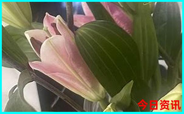 潮汕一日游最佳景点